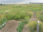 Hole #15